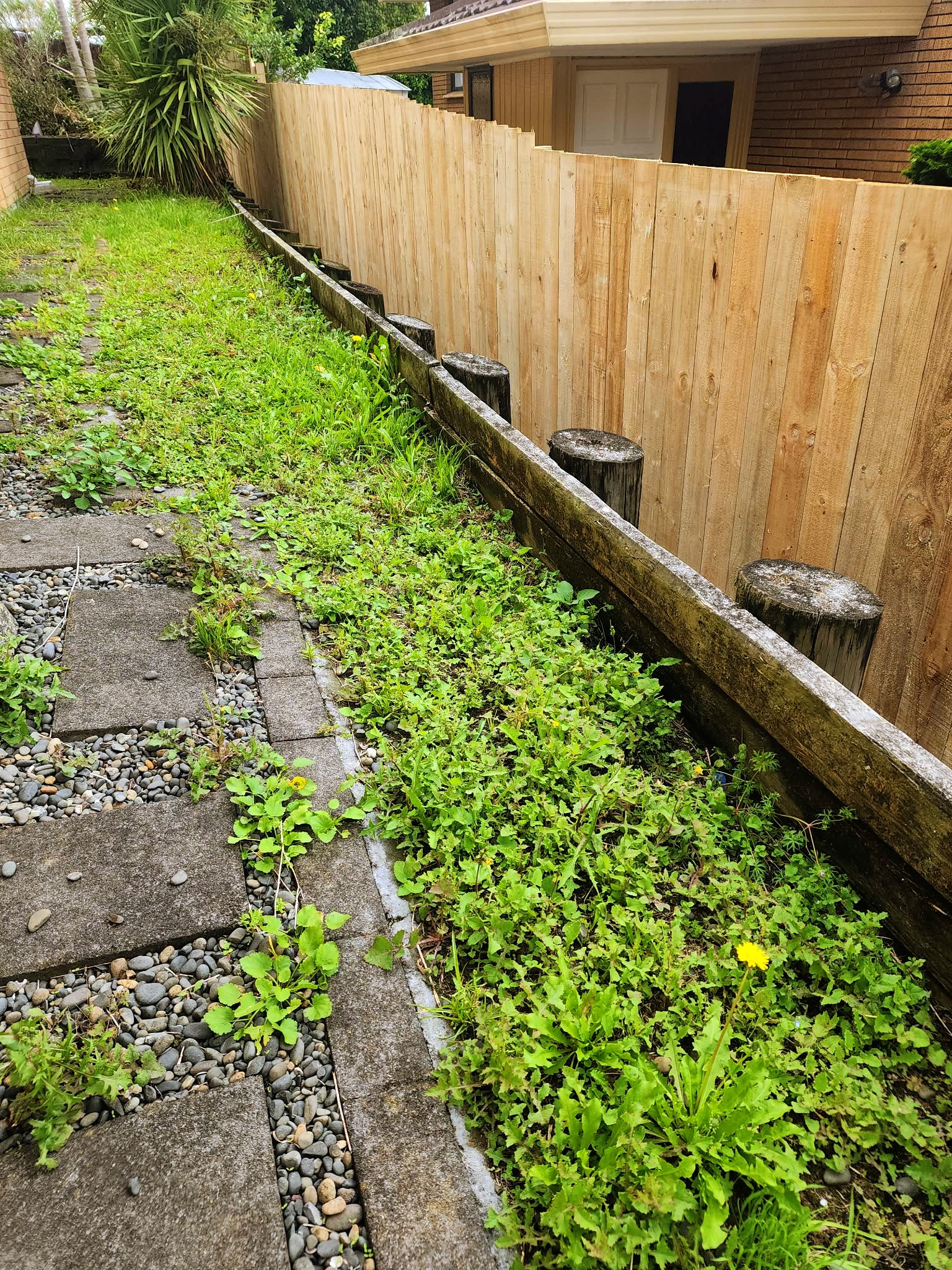 Freshly manicured lawn with crisp edging and healthy green turf in a residential garden