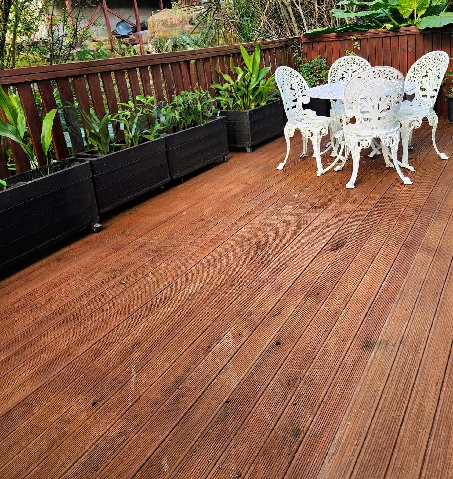 Poolside landscape design with tropical plantings, timber decking, and privacy screening greenery