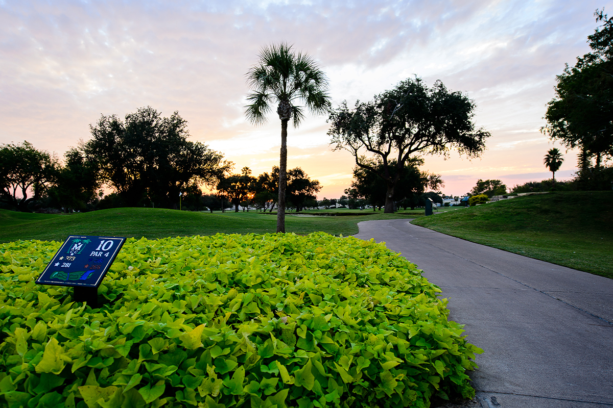 Lush green golf course fairway surrounded by palm trees in the Rio Grande Valley, South Texas