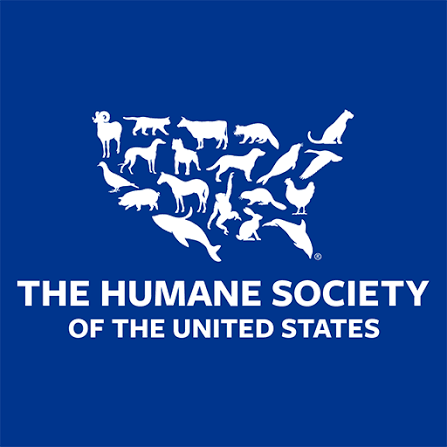 Headshot of female nonprofit CEO with warm smile for The Humane Society