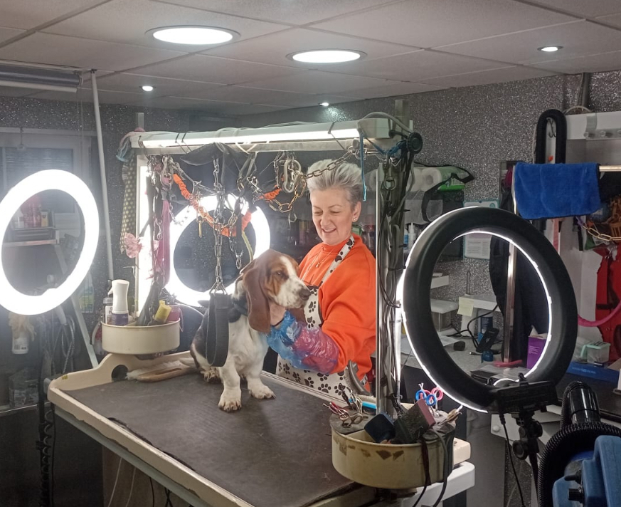 Professional one-to-one dog grooming academy training for aspiring qualified groomers