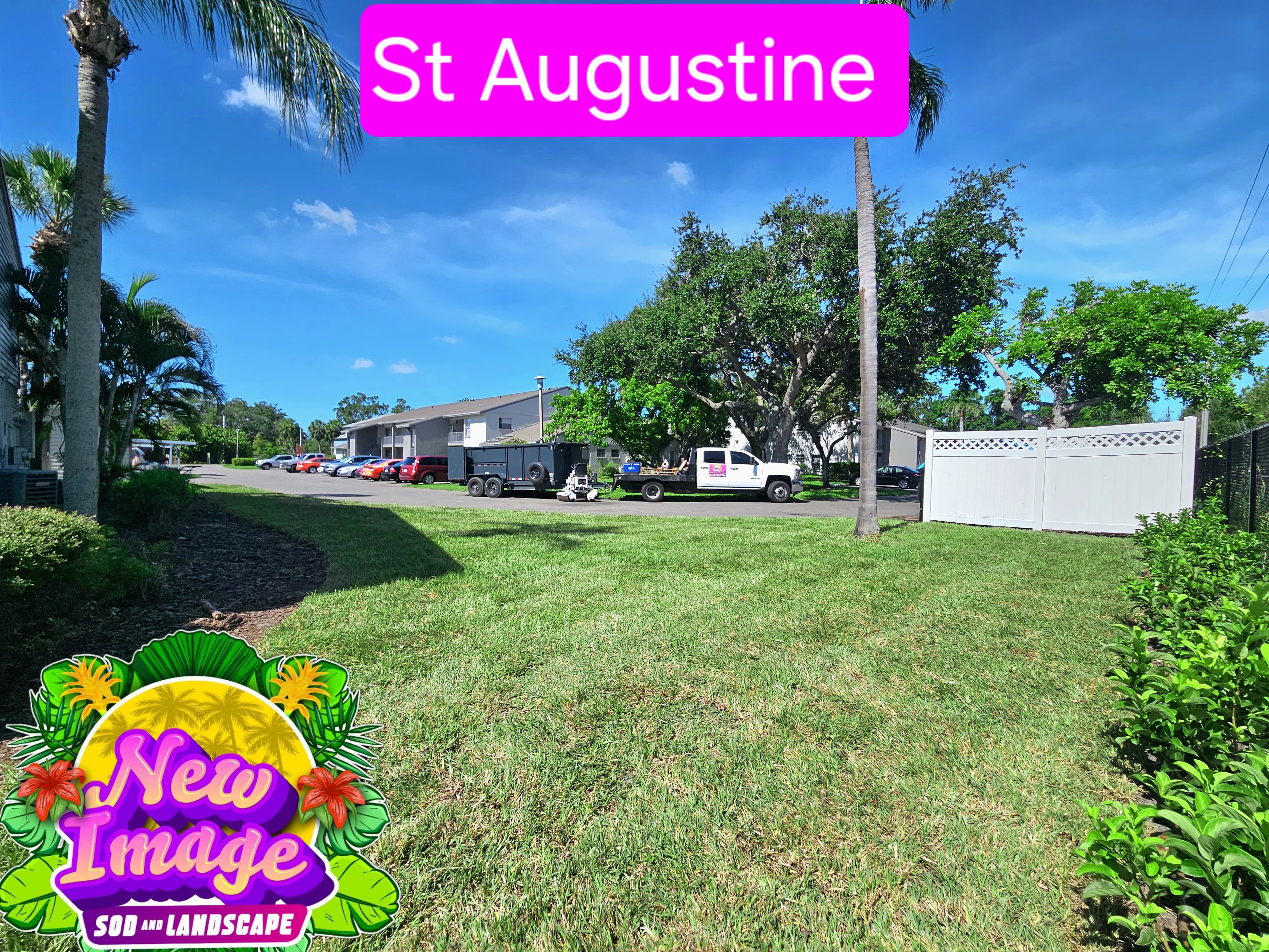A perfect, seamless green lawn created with fresh St. Augustine sod under the Florida sun.