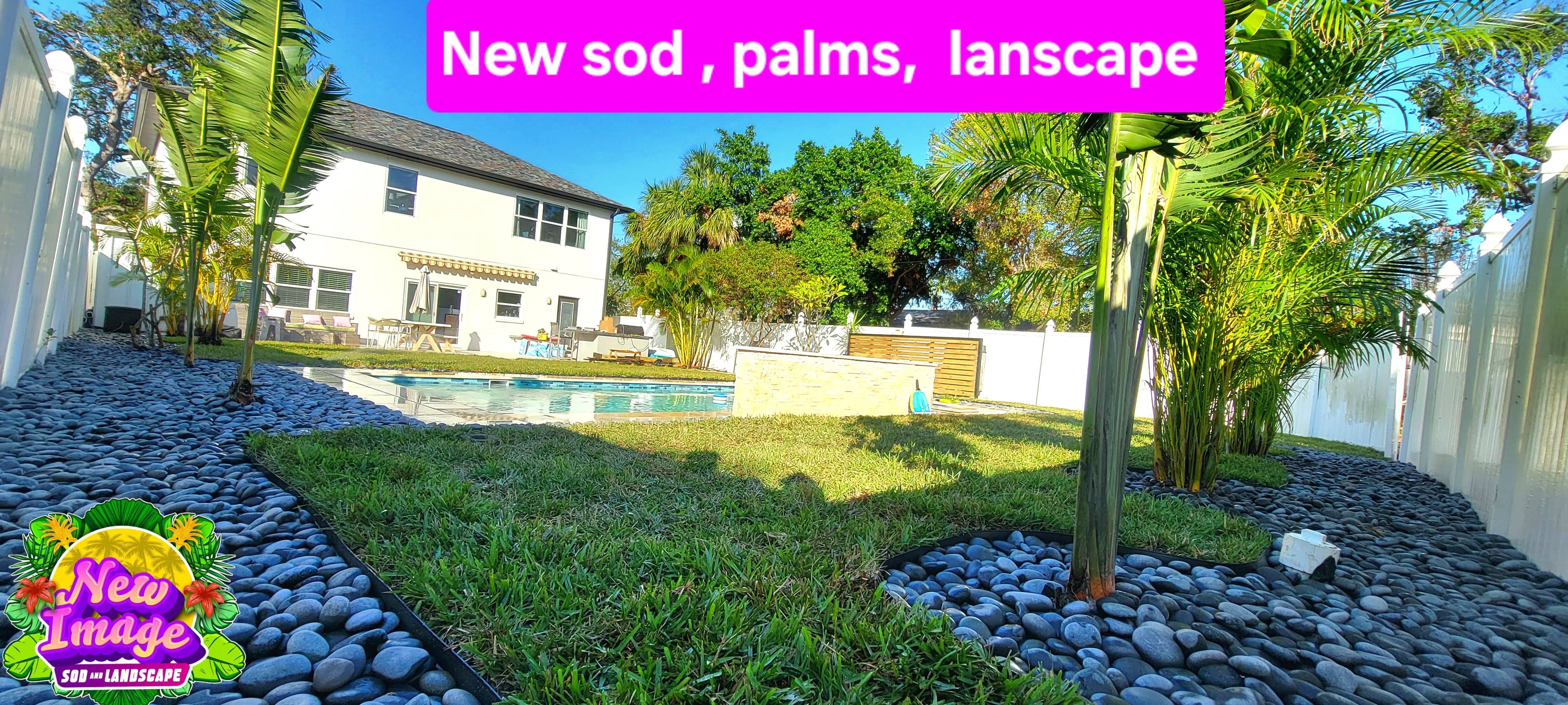 Beautifully landscaped lawn with fresh sod, custom pavers, and tropical palm trees by New Image Sod