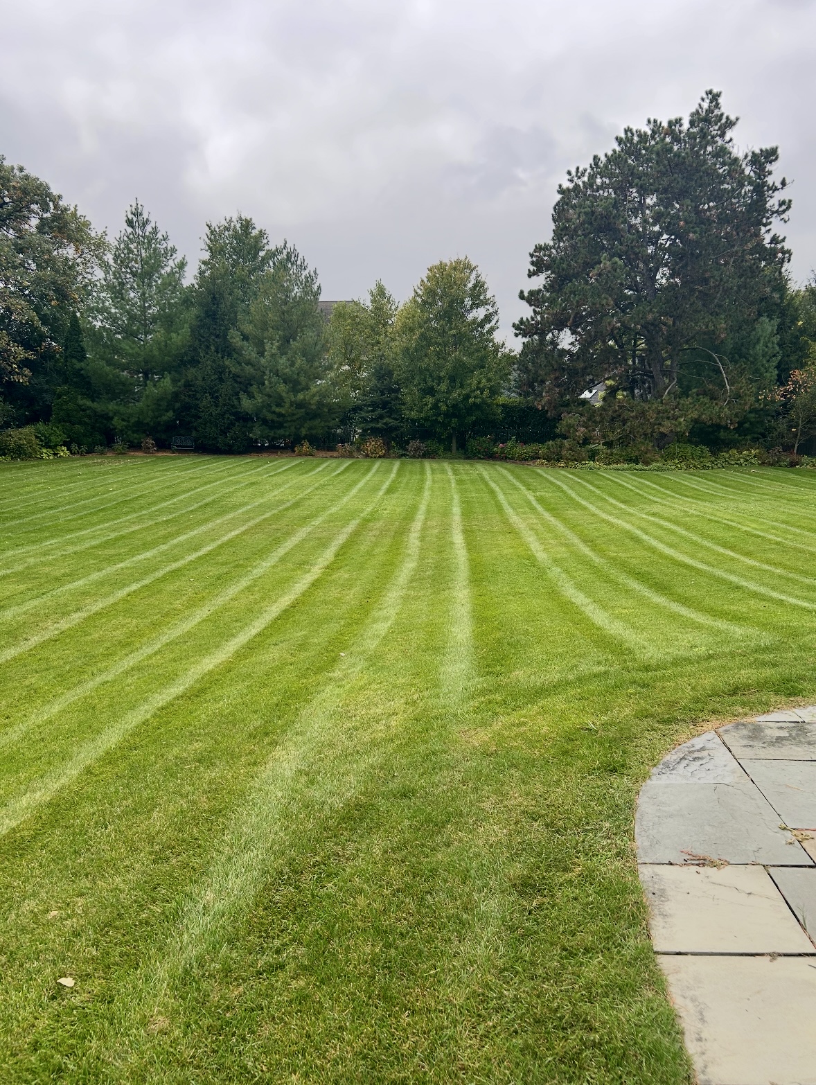 Clean Edging Work