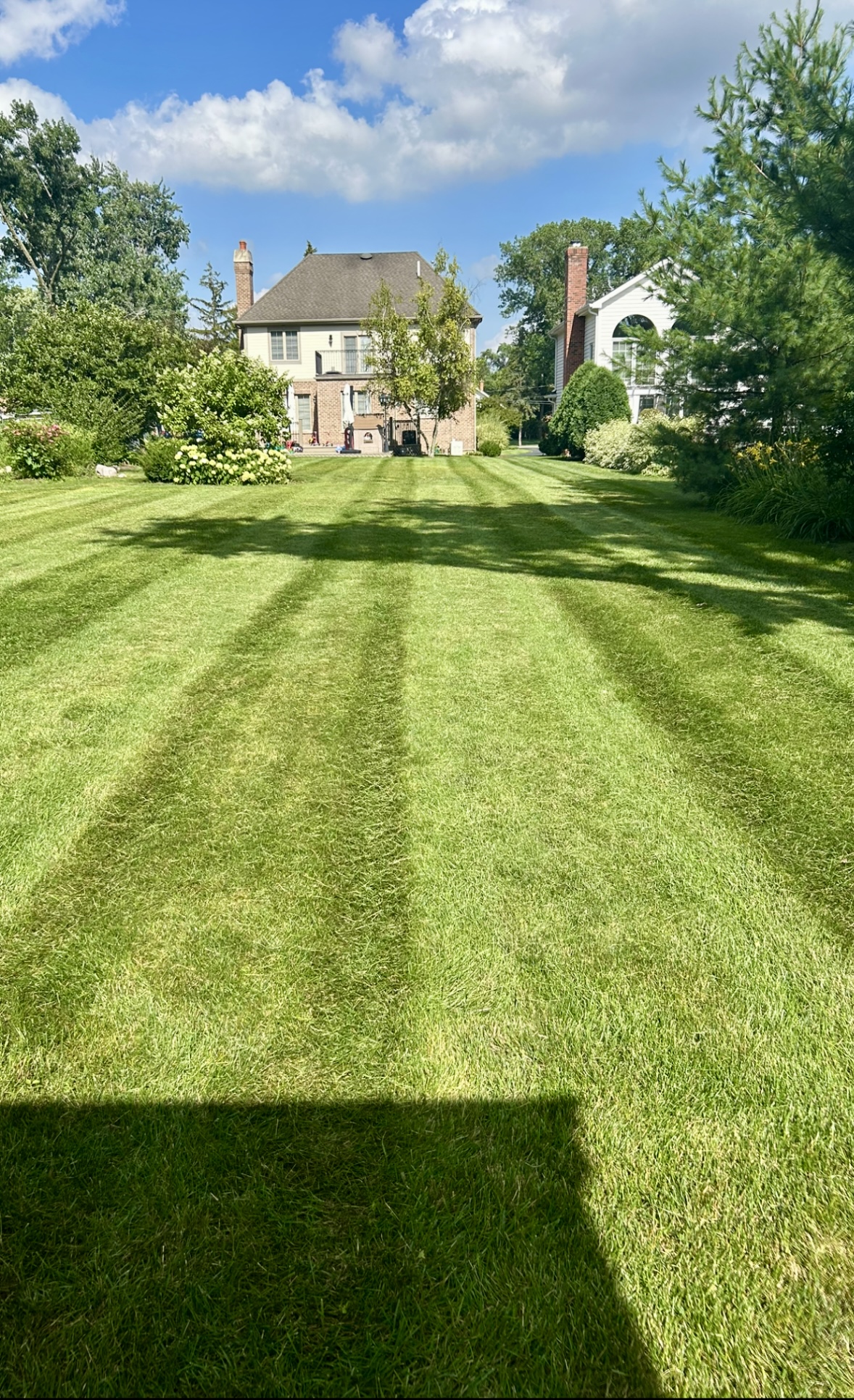 Lawn Work 2