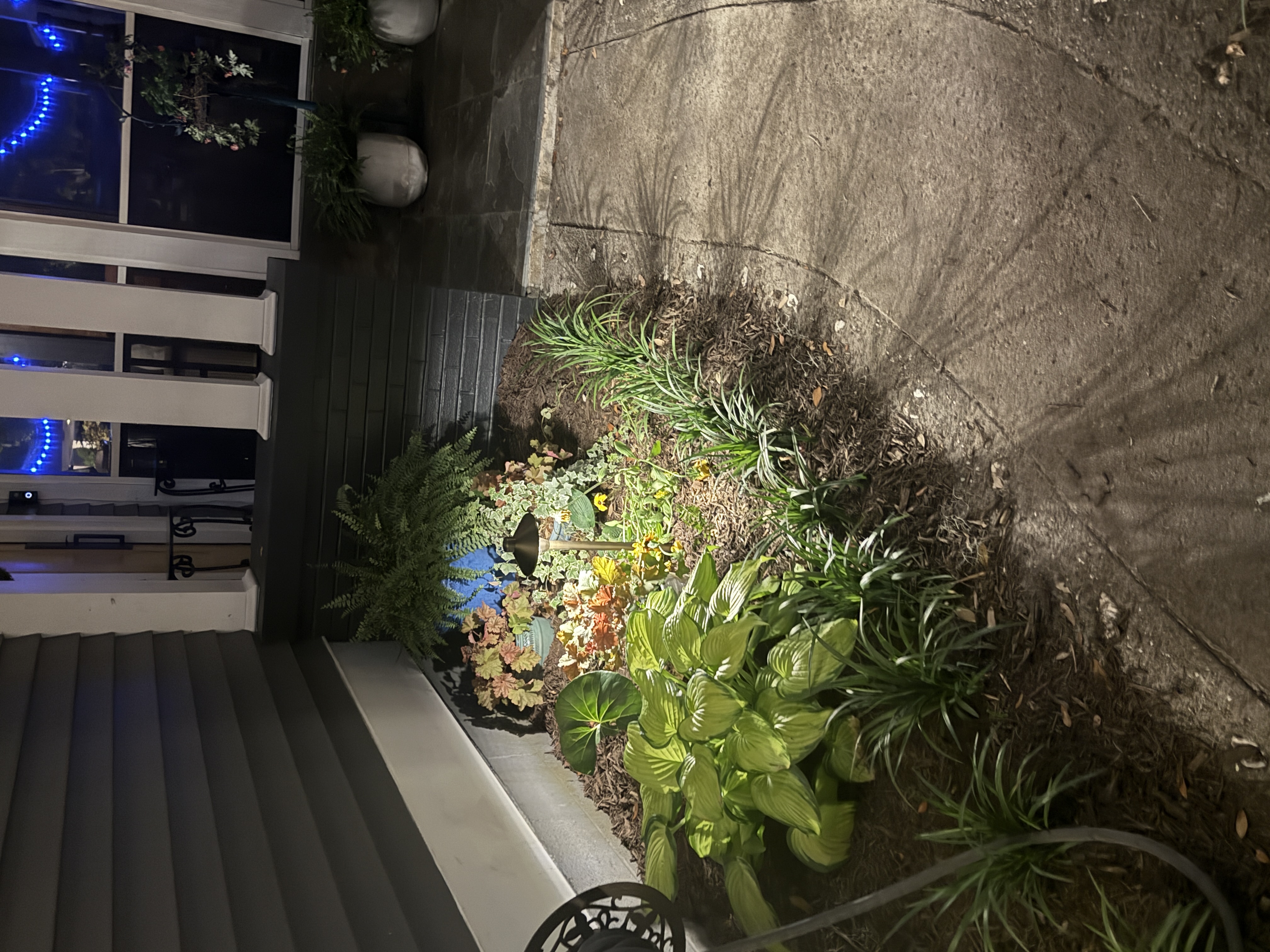 Beachfront outdoor living space with moonlight effect lighting in mature trees