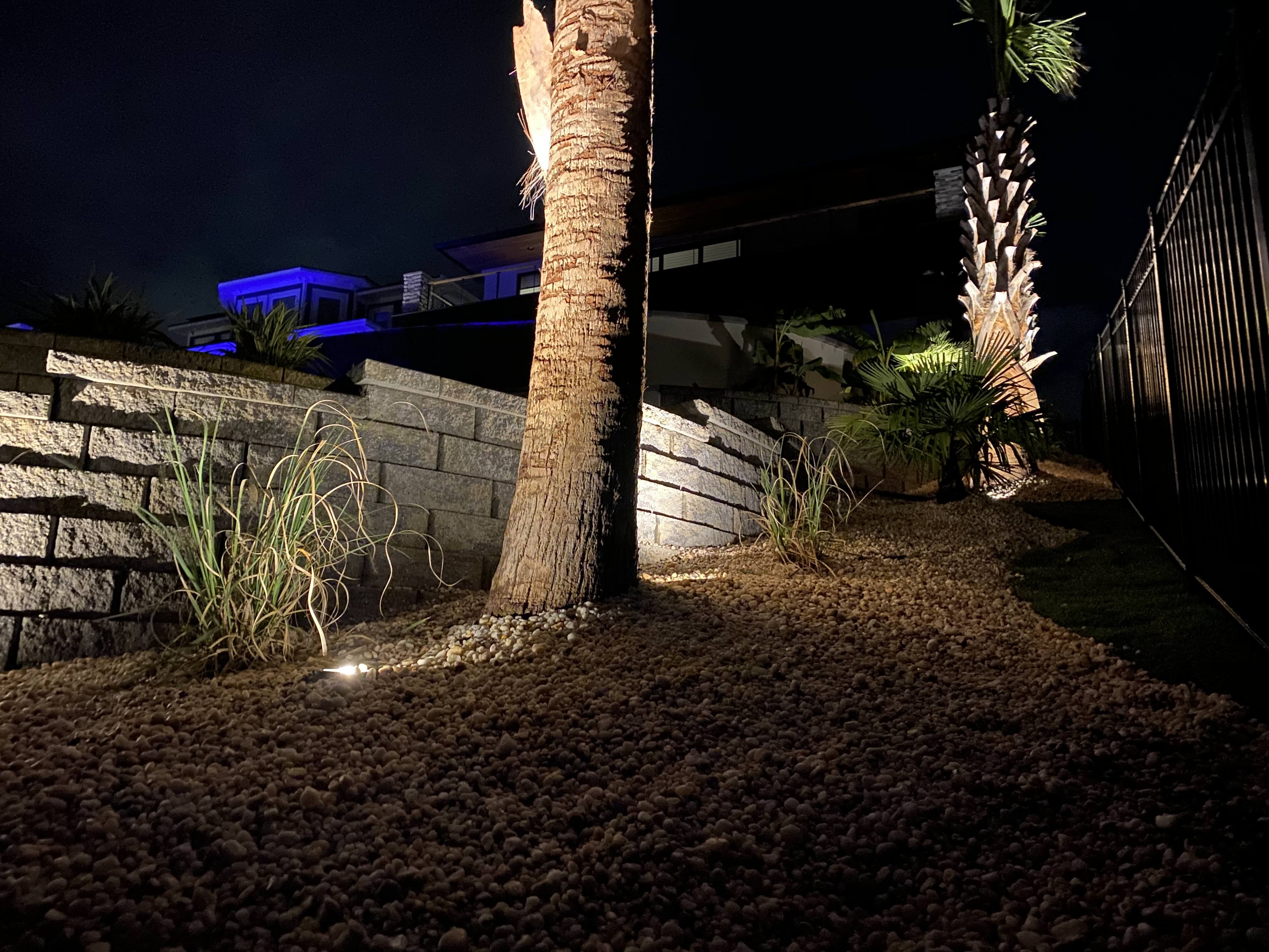 Illuminated garden pathway with low voltage landscape lights winding through lush coastal foliage