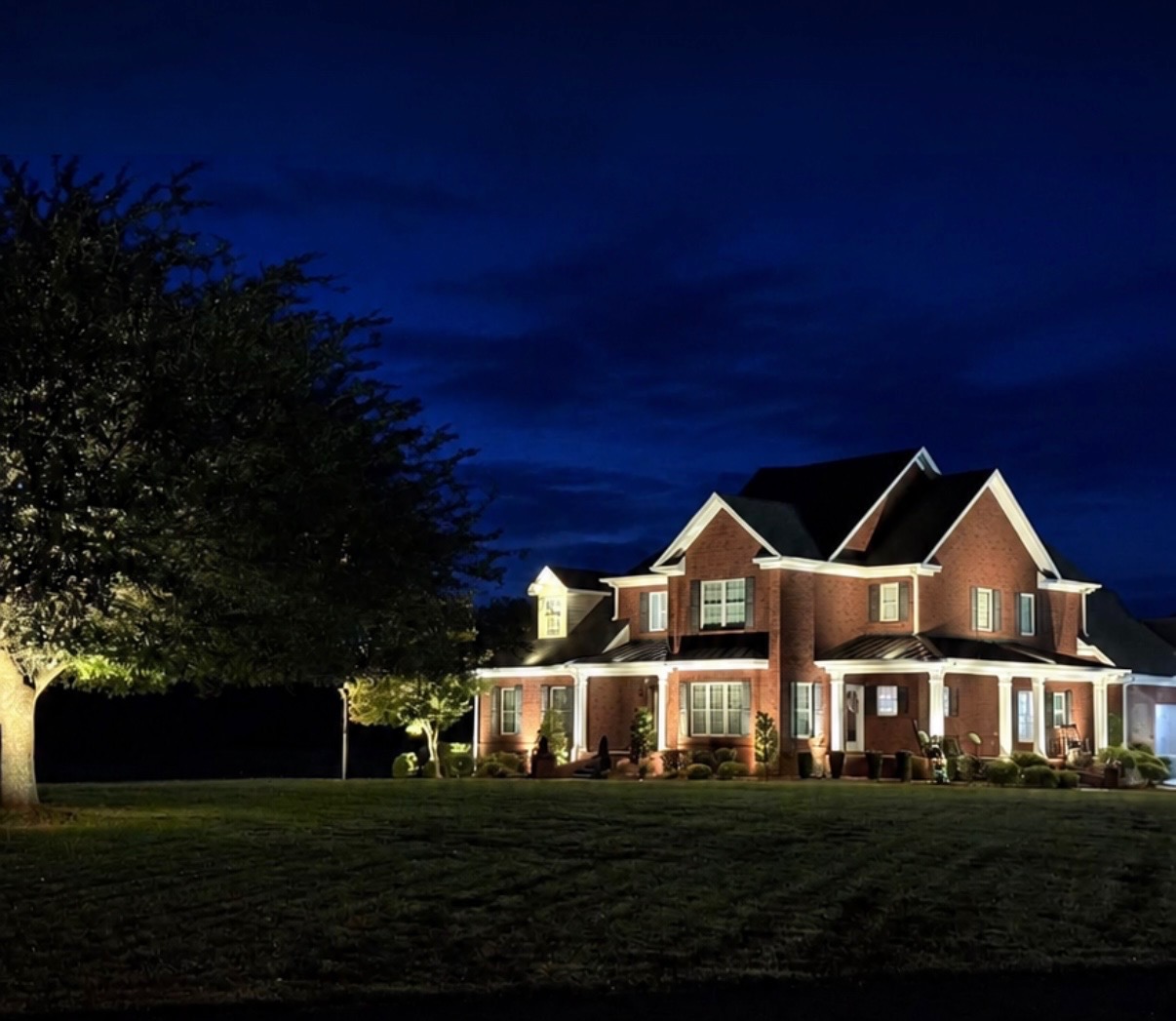 Landscape lighting project showcasing garden and tree illumination