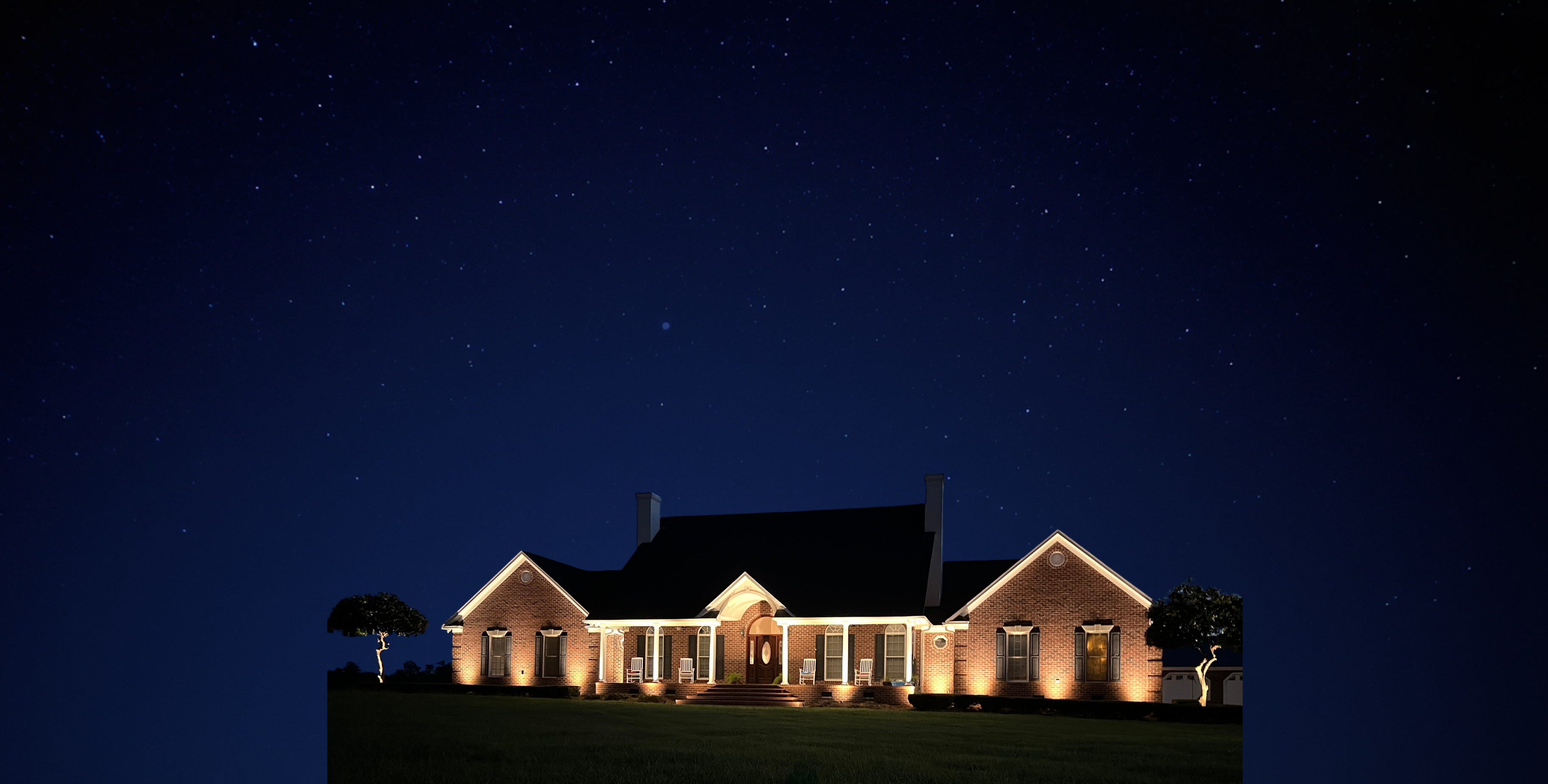 Garden uplighting illuminating shrubs and foliage from below
