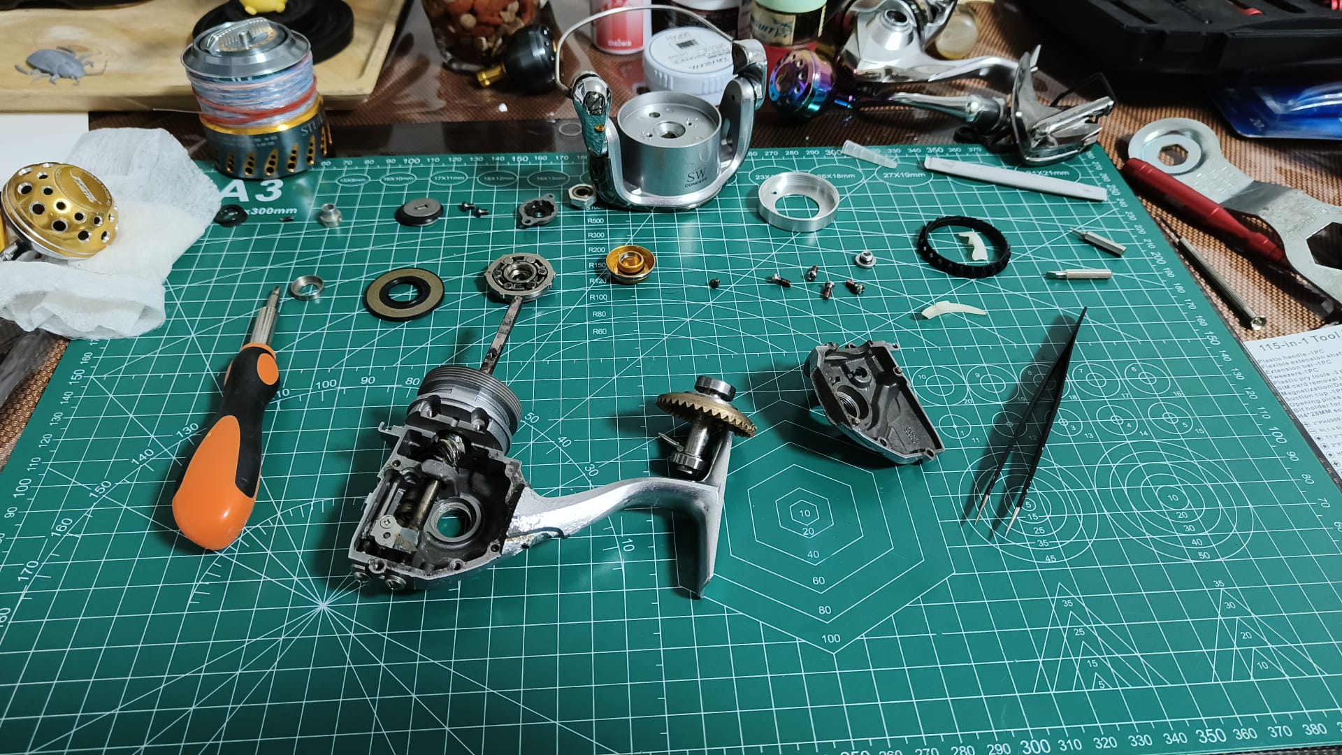 Fully disassembled Daiwa Saltiga reel showing all internal components during deep service