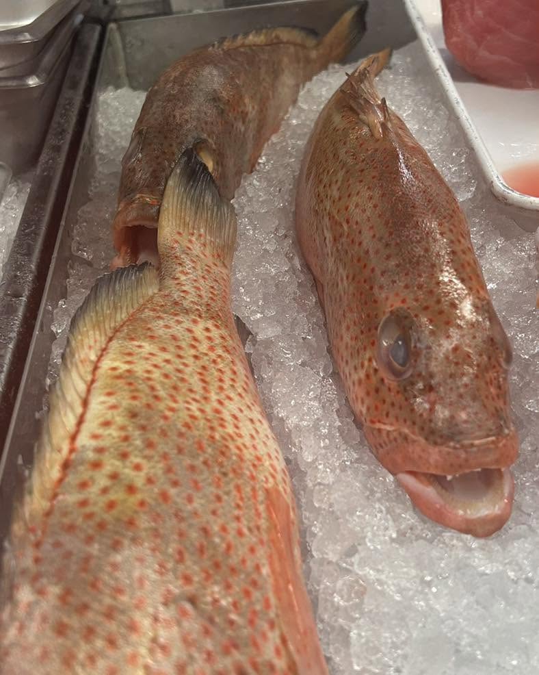 Fresh whole fish displayed on ice
