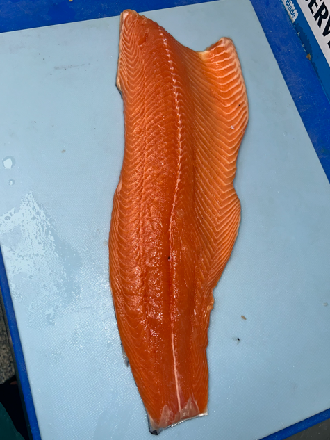 Fresh snapper displayed on ice