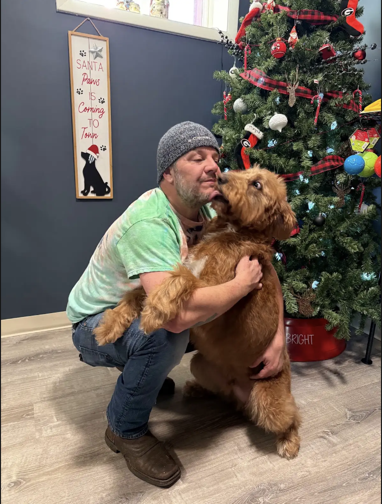 Happy freshly groomed golden doodle dog with fluffy coat and bow tie smiling in cozy boutique grooming salon in Evergreen Colorado