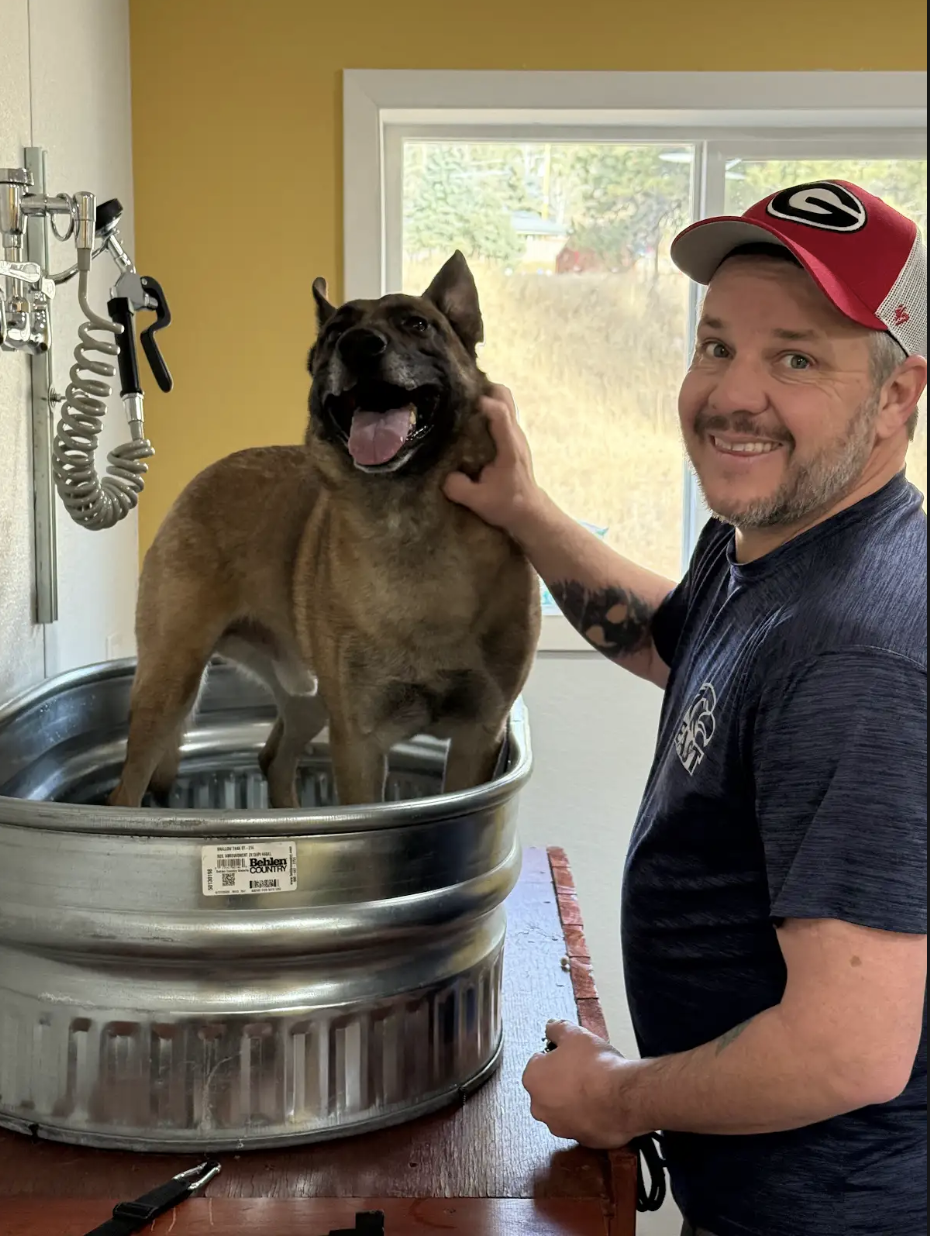 Happy wet labrador puppy enjoying bubble bath with professional dog groomer