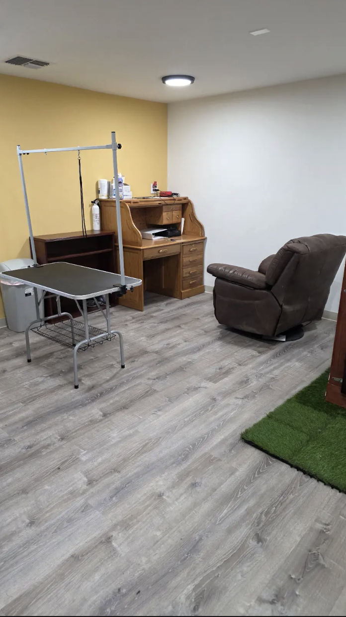 Certified groomer gently brushing a calm golden retriever in a cozy Evergreen Colorado grooming salon