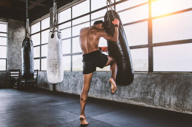 Strength and conditioning equipment