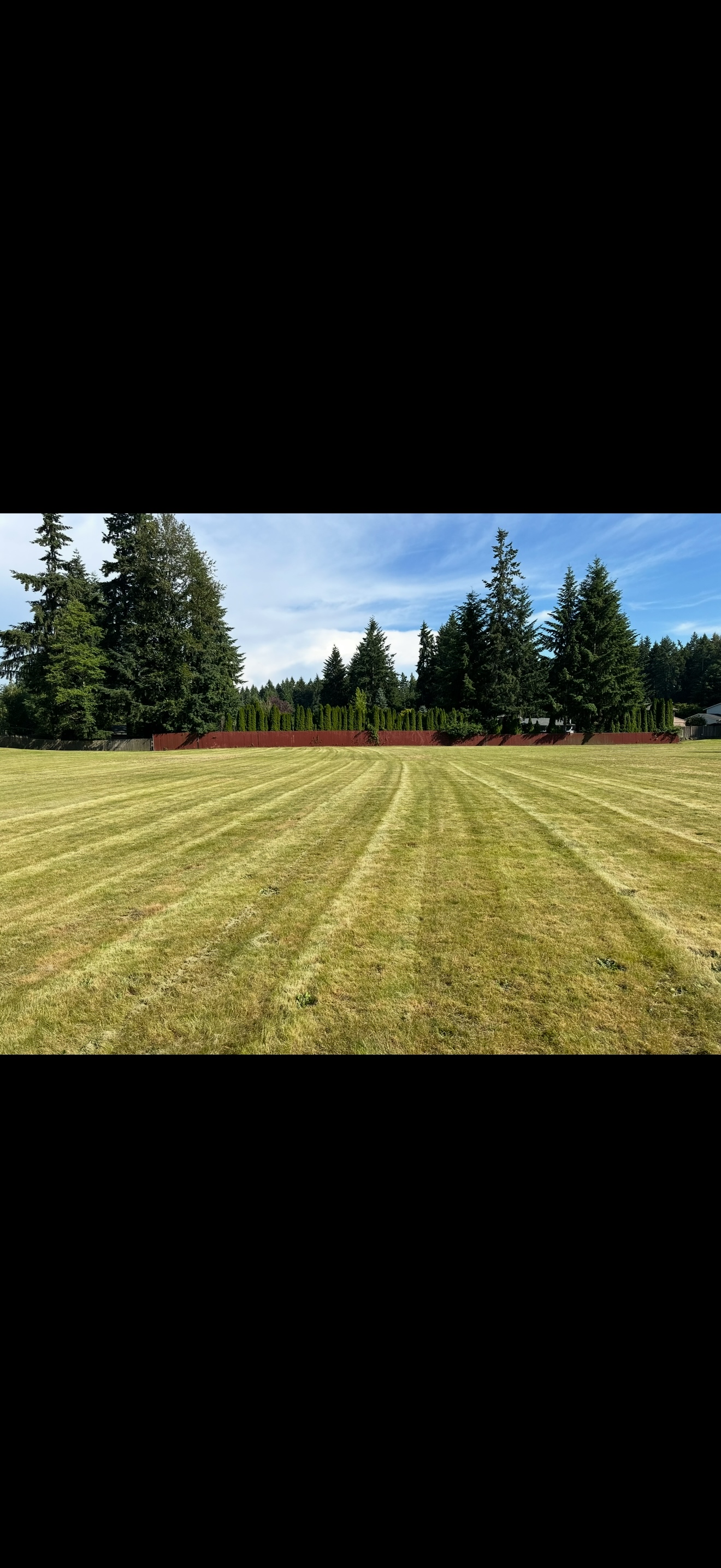 Professional hardscaping work