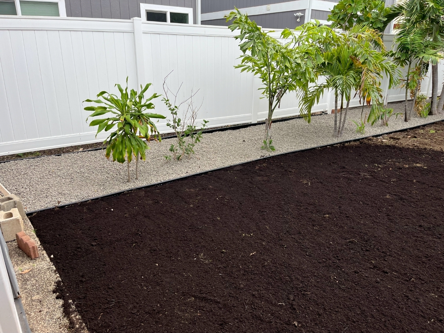 Crisp edged lawn borders along driveway with clean separation between grass and pavement
