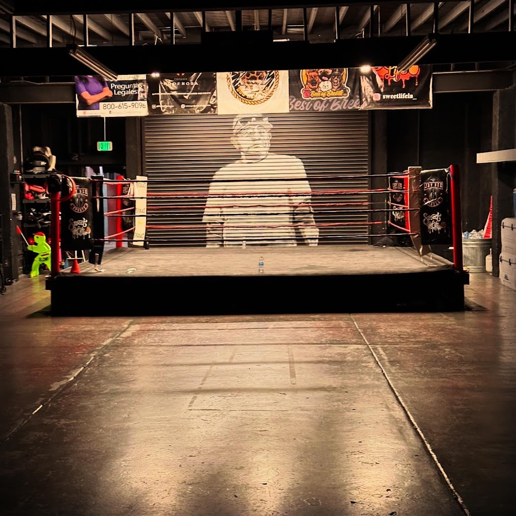 Diverse boxing community of kids and adults training together in authentic neighborhood boxing gym with heavy bags rings and coaches mentoring students