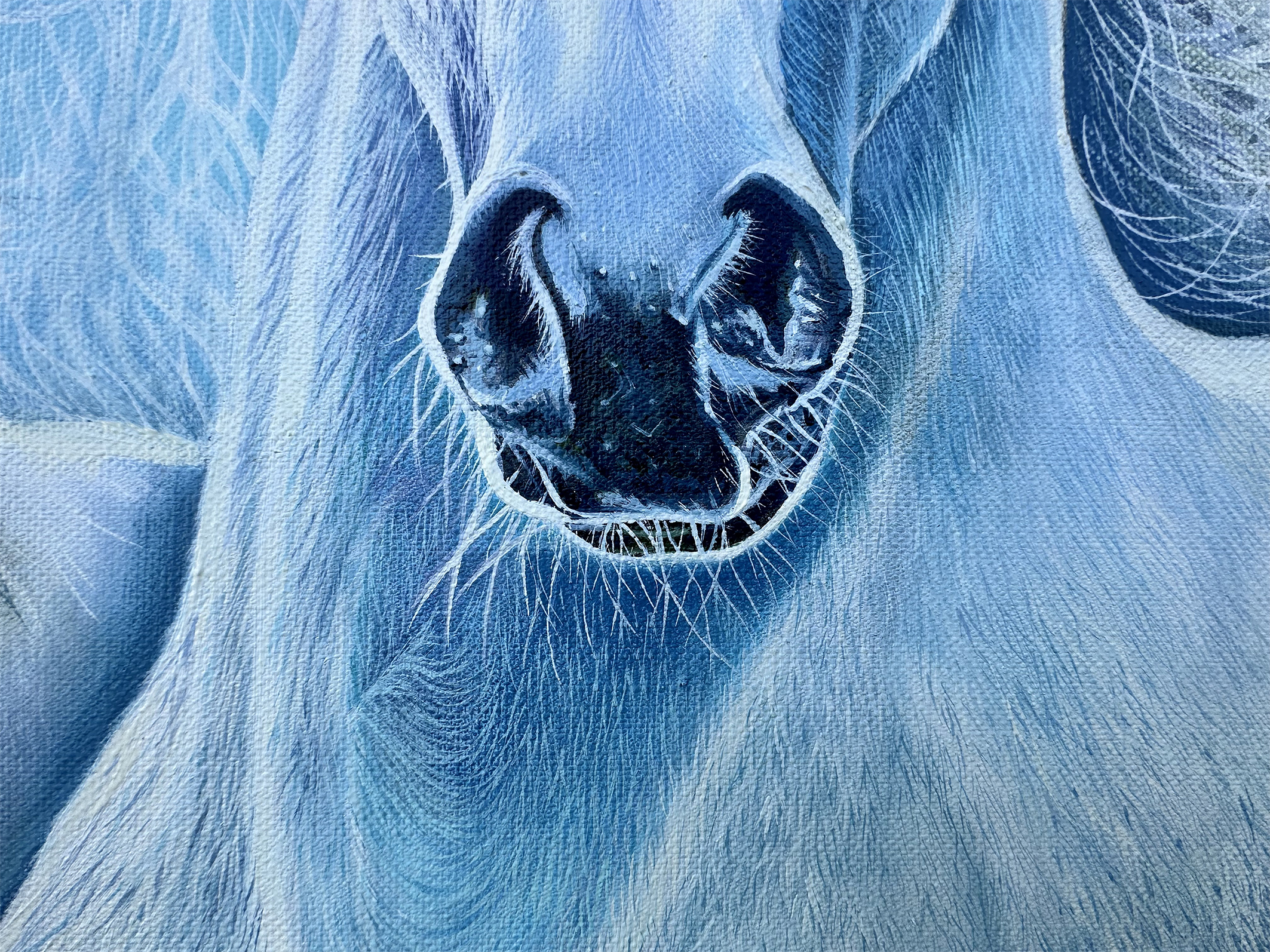 Masterful hyperrealistic oil painting demonstrating exceptional texture, lighting, and detail by contemporary fine artist Natalija Eric