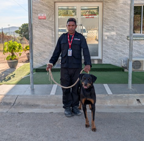 Trained K9 security dog with handler