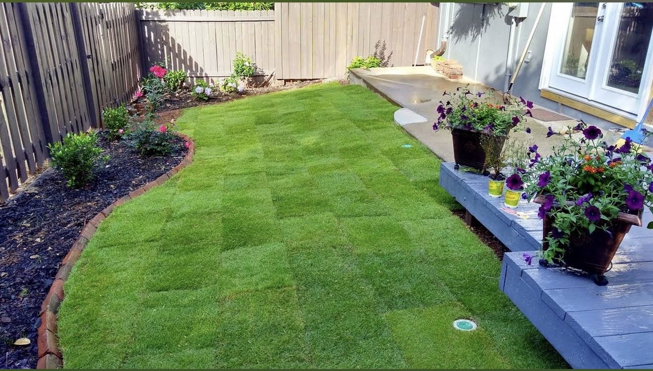 Freshly laid dark mulch in highly defined landscape beds