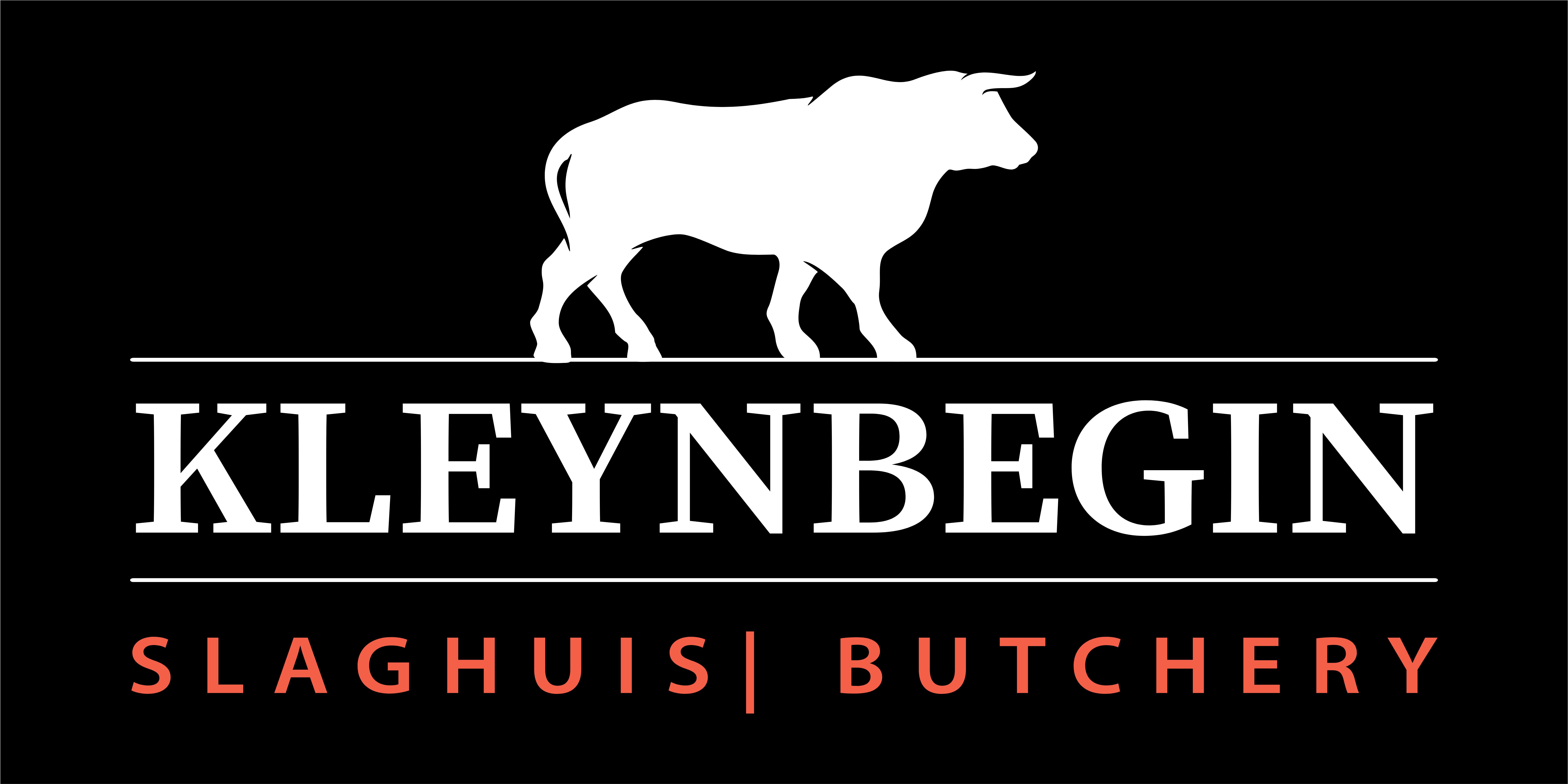 KleynBegin Logo