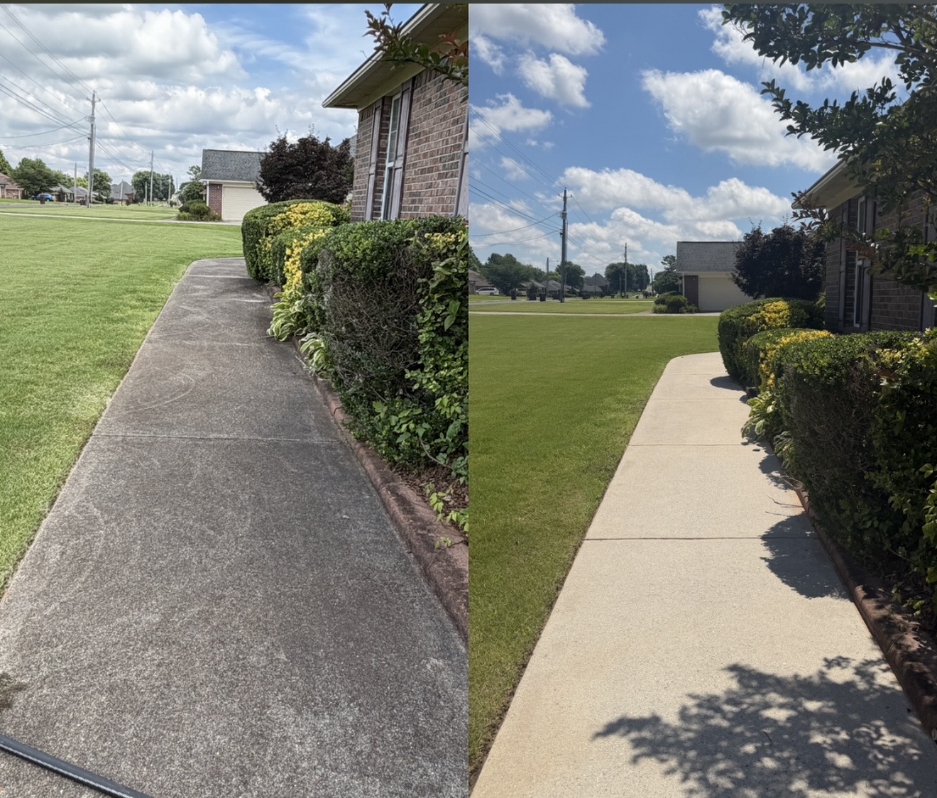 The same brick patio with vibrant colors and clean grout lines after being pressure washed.