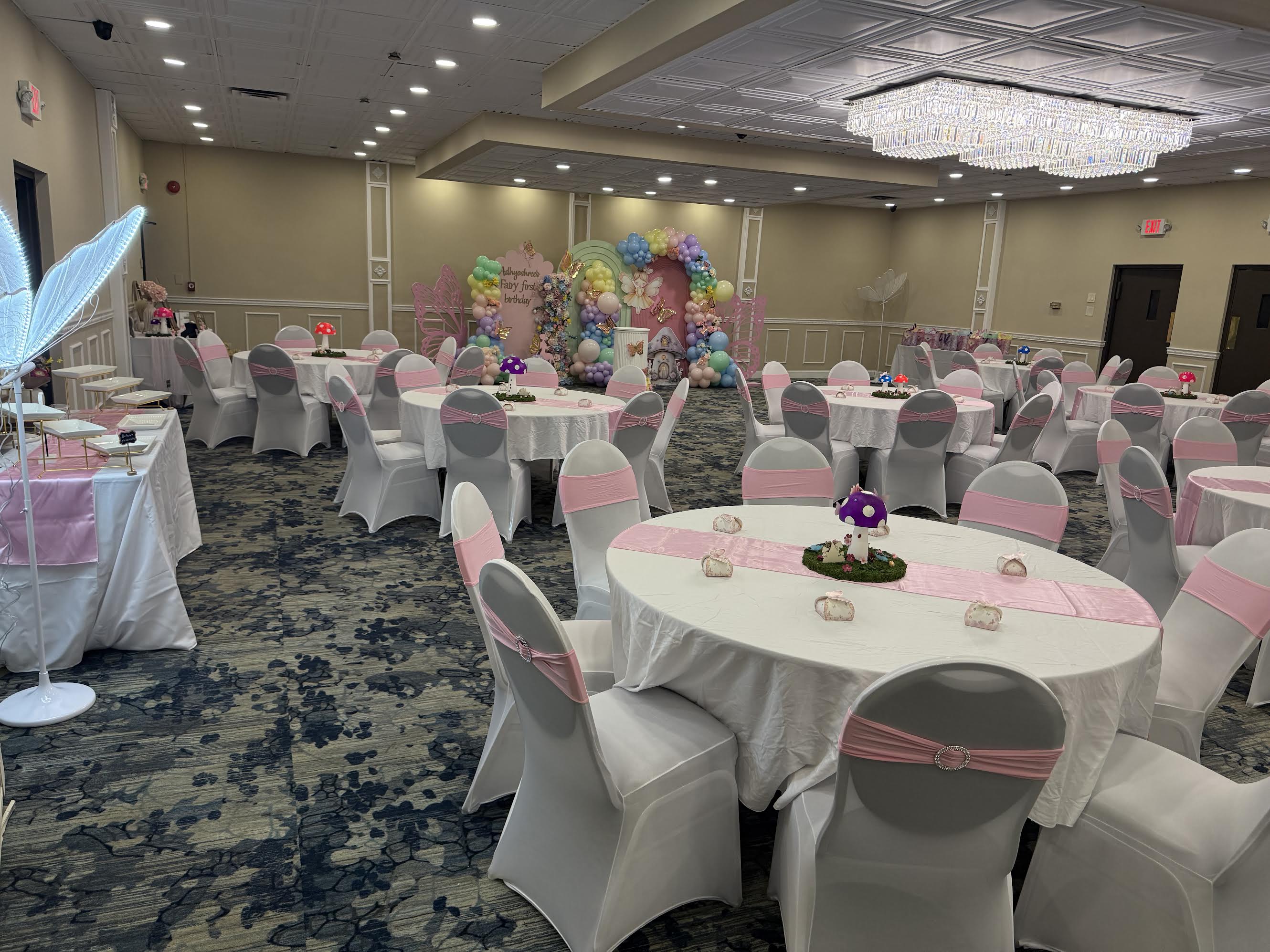 Birthday Party Setup