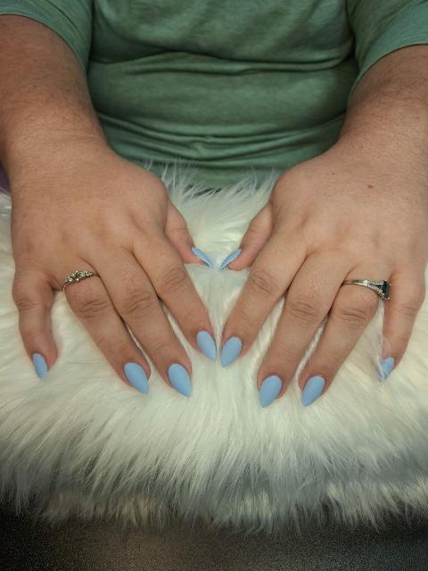 Elegant hand displaying long, glossy chrome nails with intricate hand-painted floral art created by Carissa in a luxury nail studio.