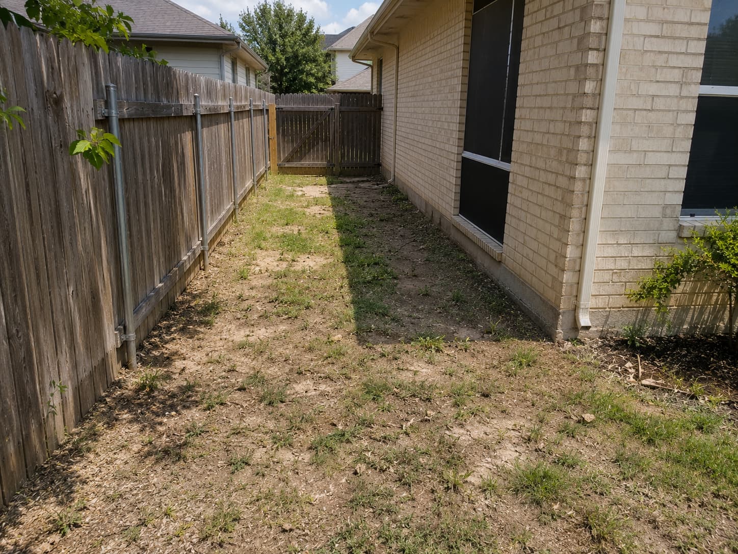 Yard before walkway and patio installation with unclear foot traffic flow