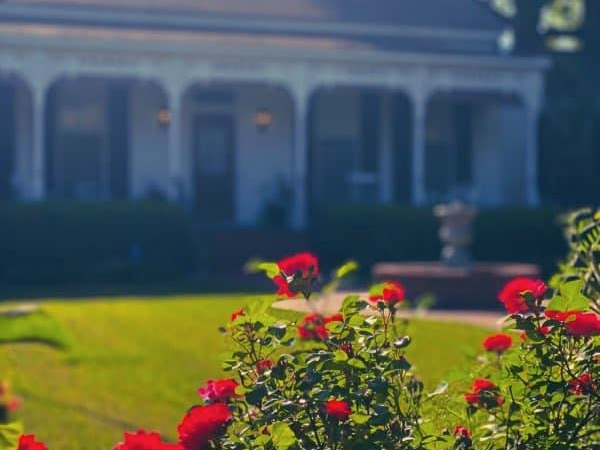 Hawthorne's Lawn Care featured image
