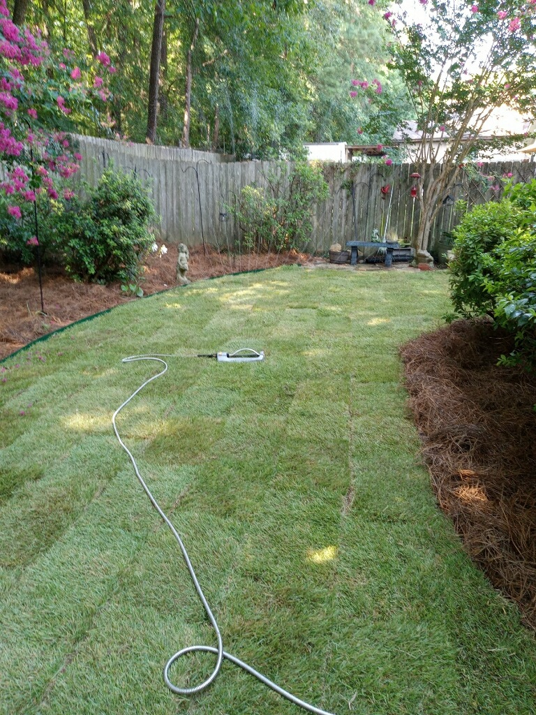 New sod installation in front yard