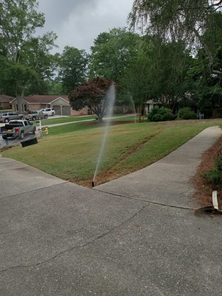 Complete backyard landscape transformation