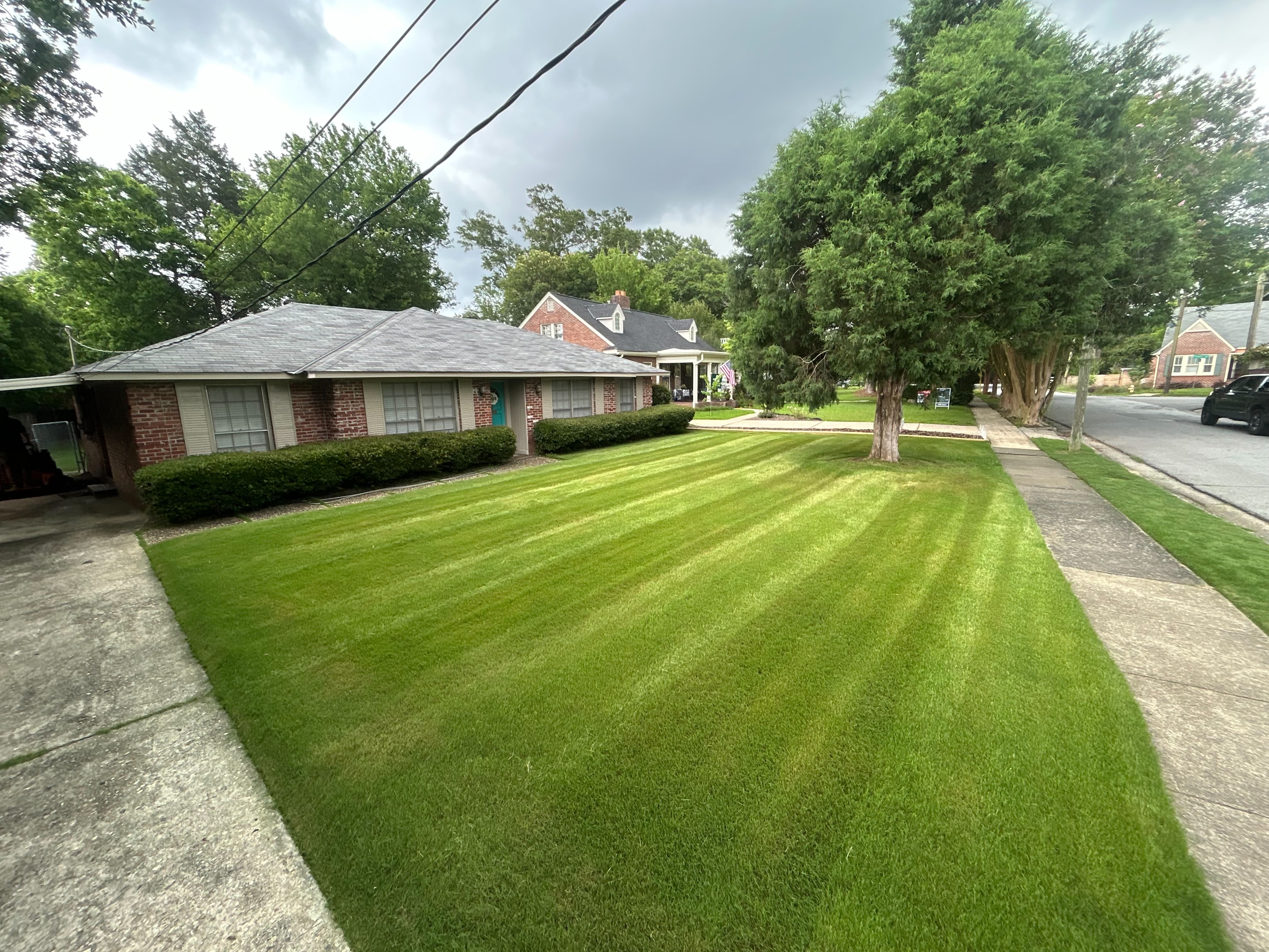 Vibrant green grass with clean defined mowing lines