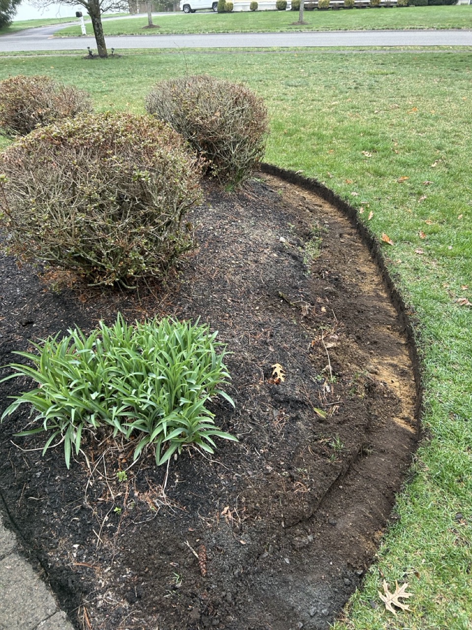 Professionally pruned shrubs and hedges with uniform rounded shape lining a walkway leading to the front porch of a colonial style home in Pembroke MA by M&N Landscaping