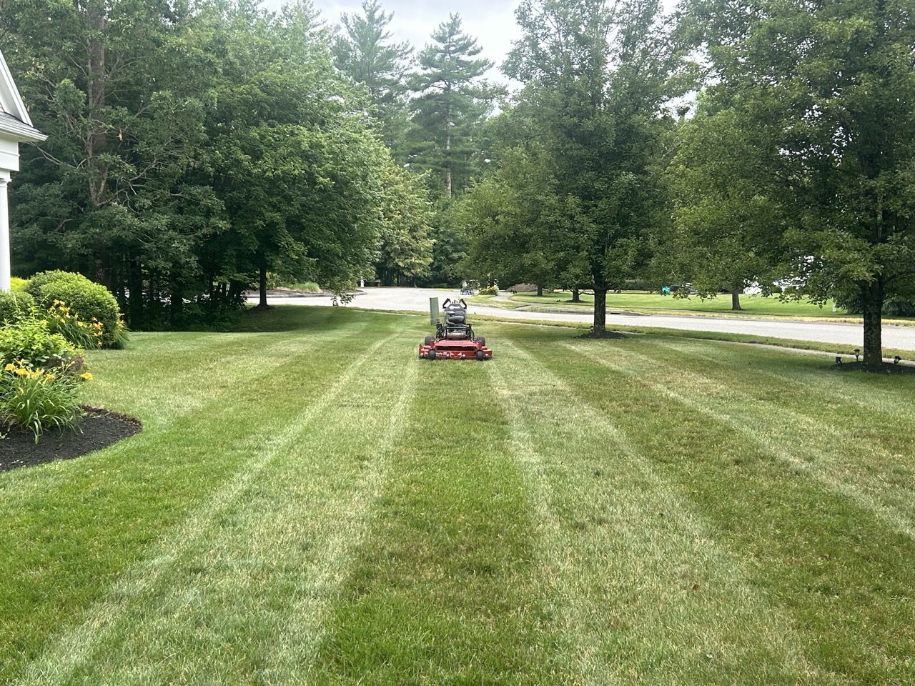 Freshly mowed residential lawn with bold alternating green stripes and crisp edging along a paved walkway in front of a well-maintained suburban Pembroke MA home at golden hour