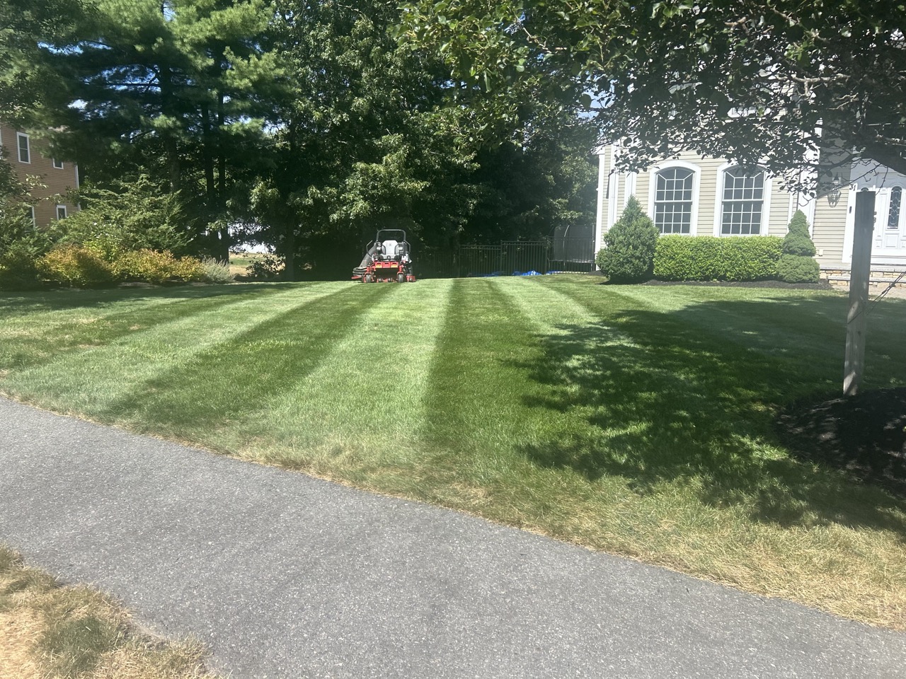 M&N Landscaping crew member operating a professional zero-turn commercial mower, cutting perfect diagonal stripes into a vibrant lush green suburban lawn in front of a classic New England colonial home in Pembroke, MA on a sunny afternoon