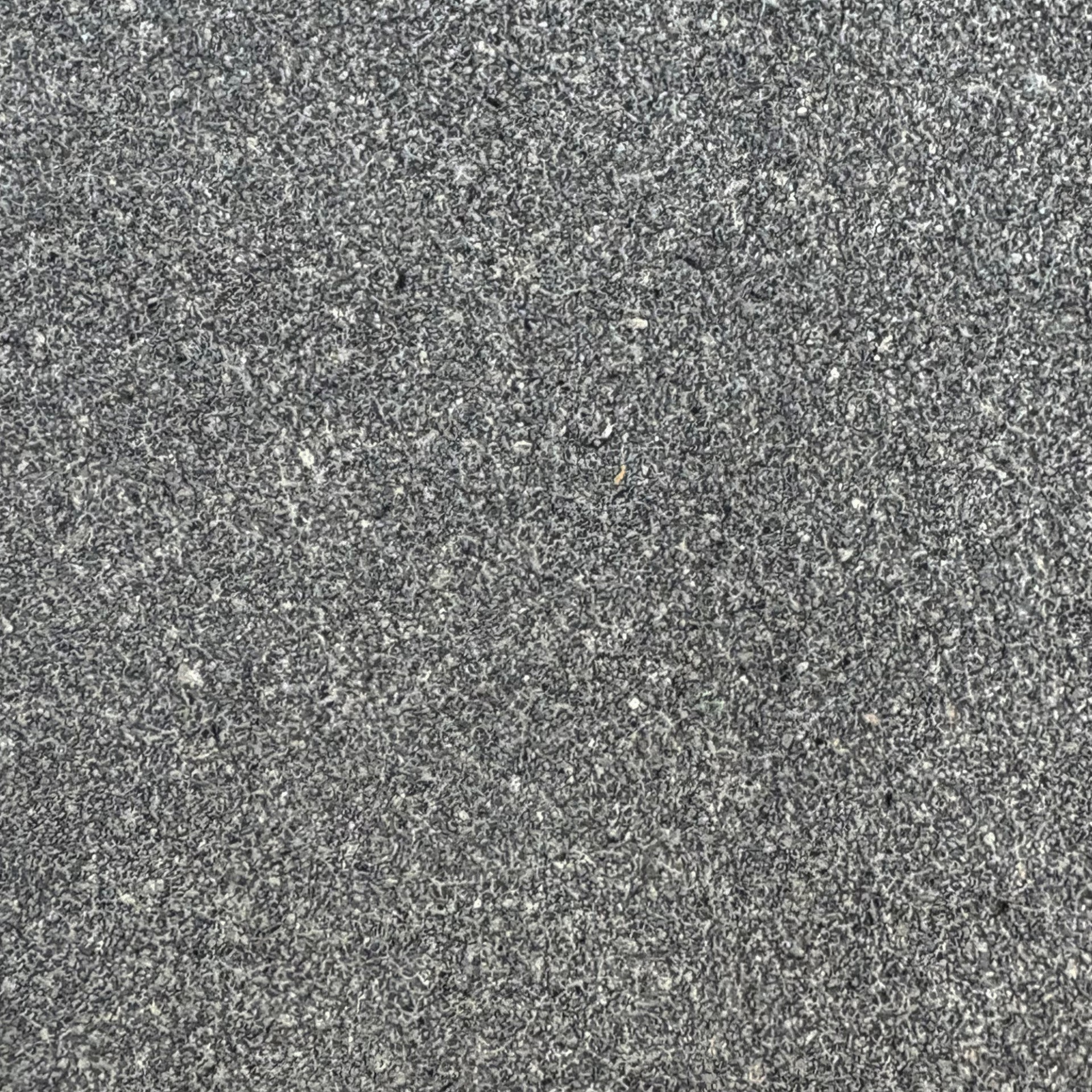 Spectra photo 4