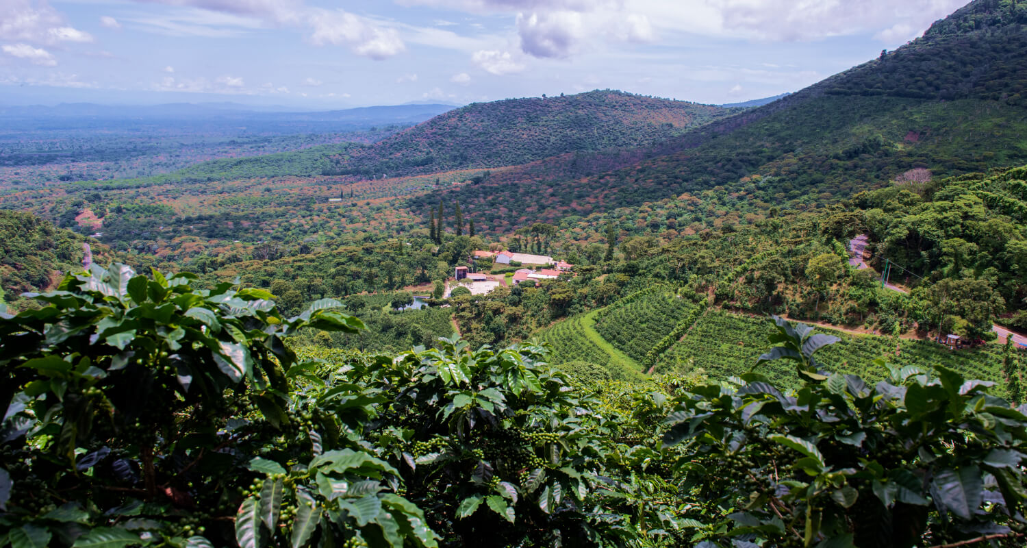 Finca El Manzano rustic farm house exterior surrounded by nature
