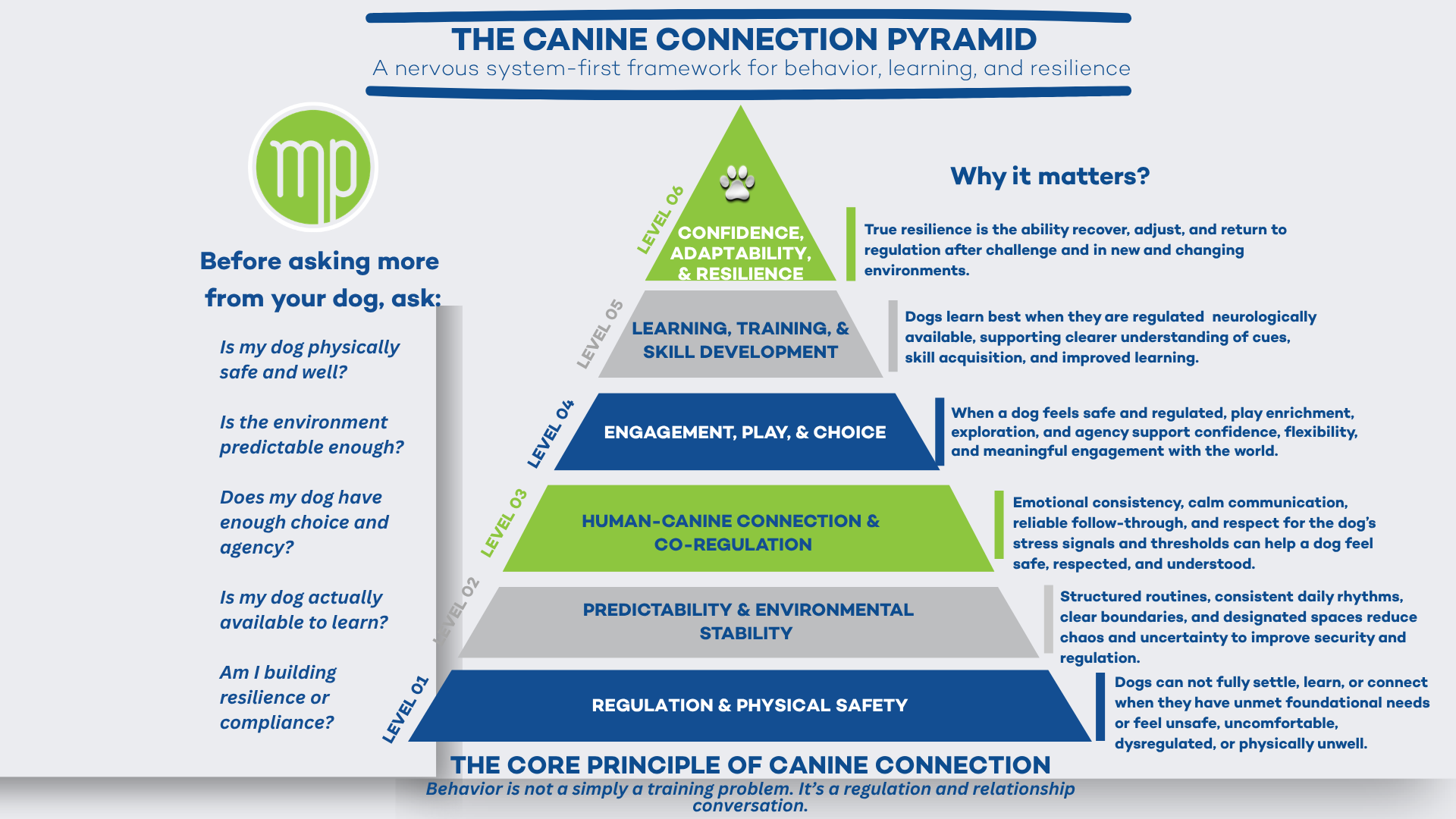 Canine Connection App Preview