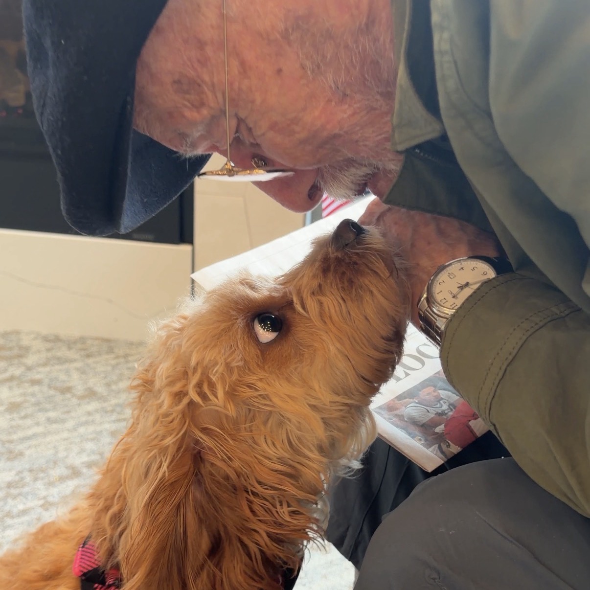 Gracie therapy dog visit
