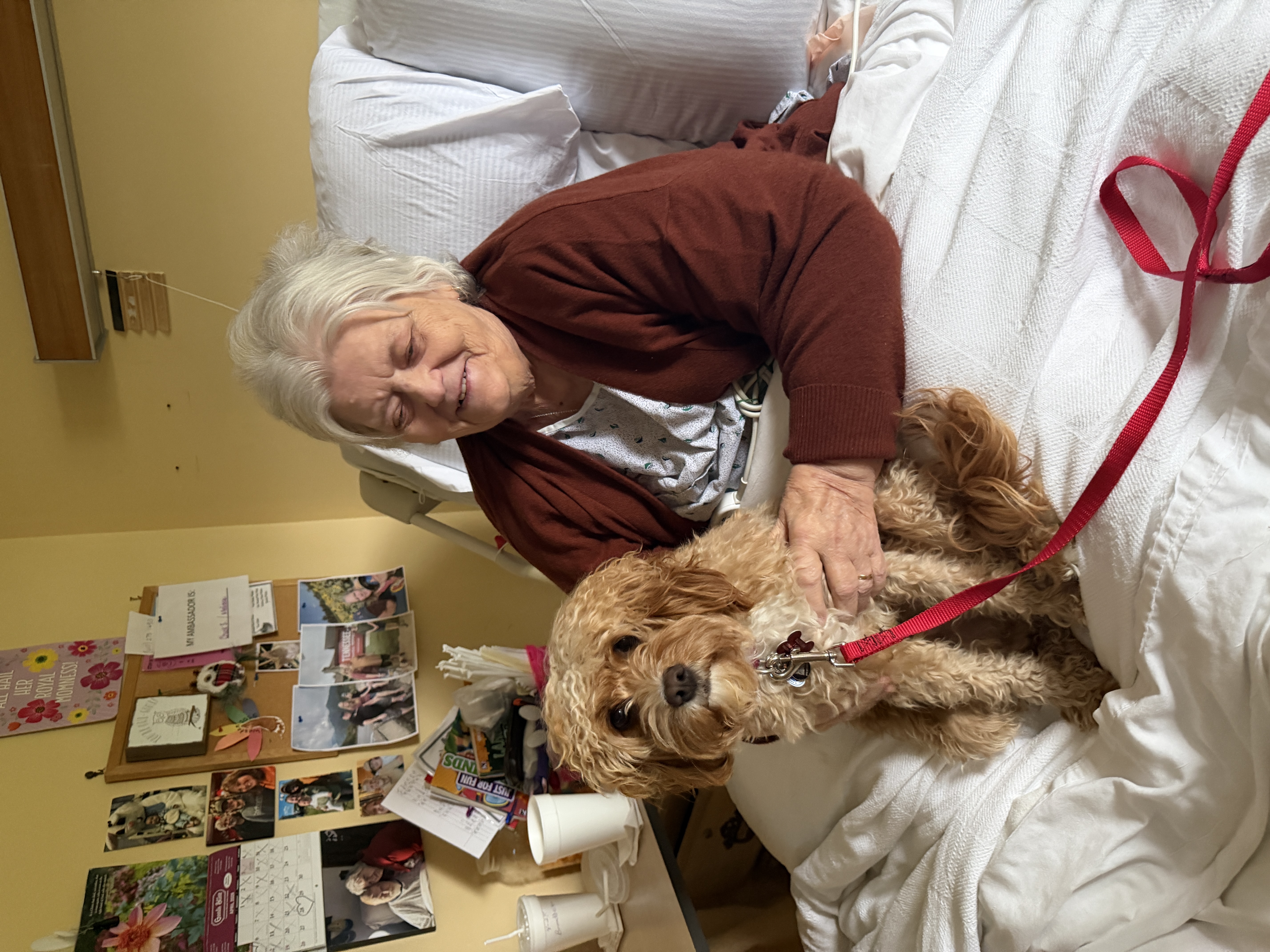 Gracie therapy dog visit