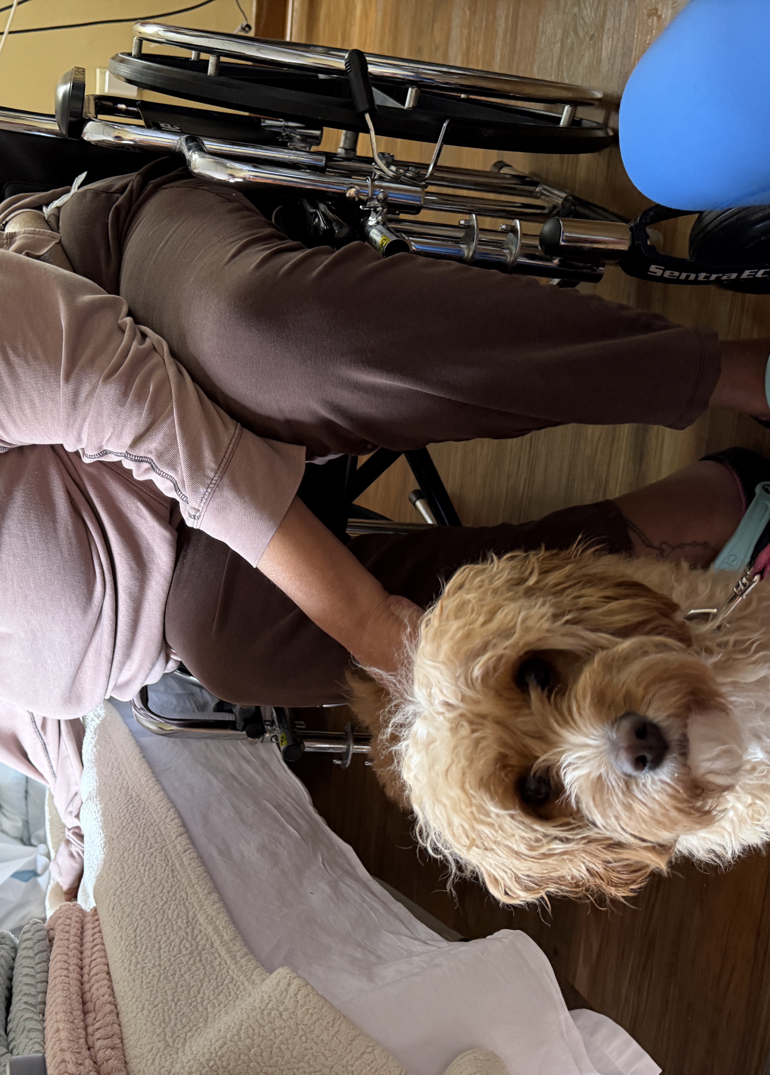 Gracie therapy dog visit