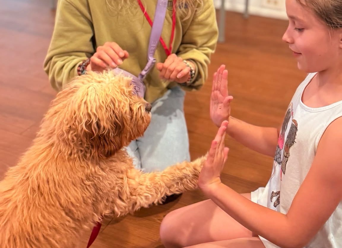 Gracie therapy dog visit