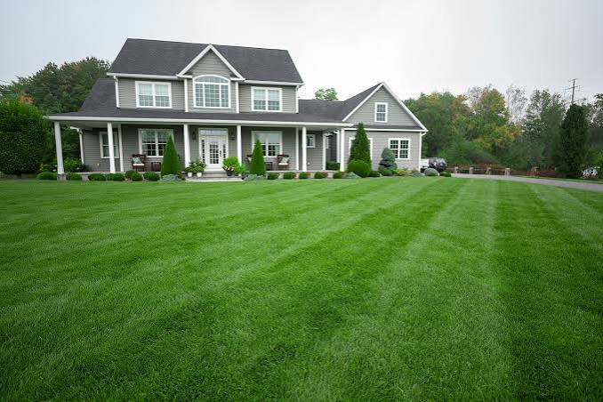 Freshly mowed striped backyard lawn with manicured garden beds at a Georgetown Ontario residential property