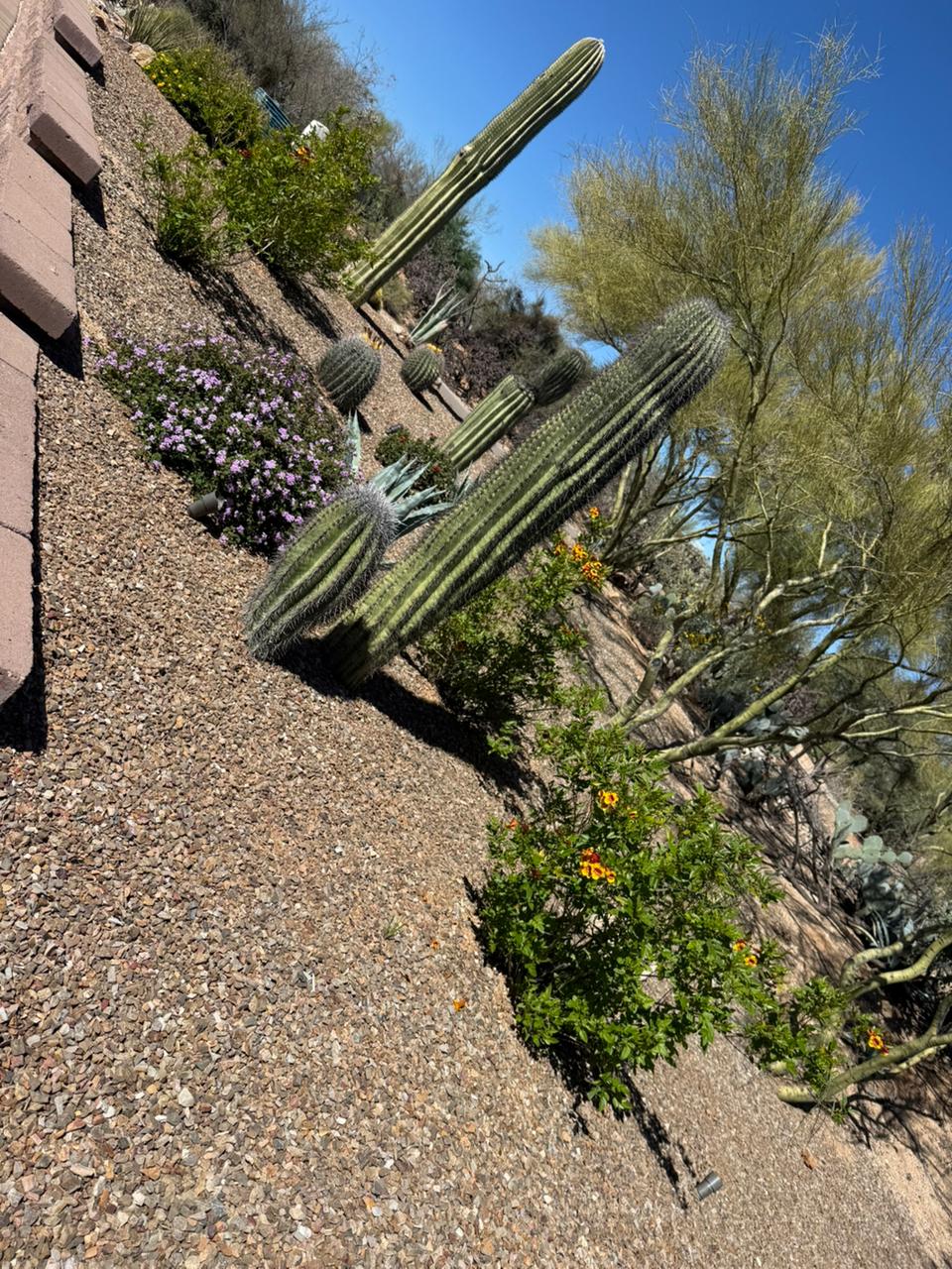 Landscaping Team at work