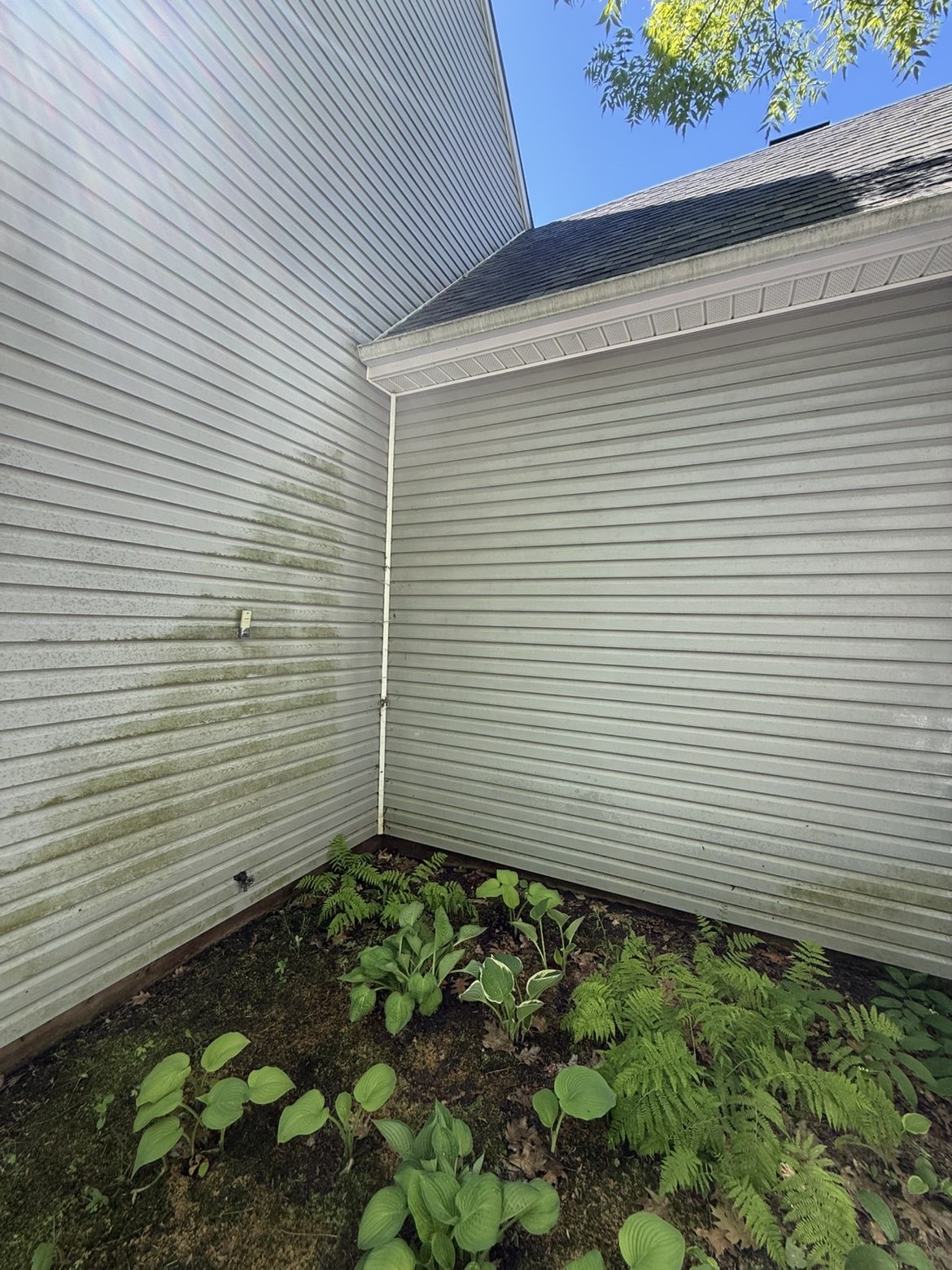 Before - dirty vinyl siding covered in green algae and dirt on Ottawa Valley family home