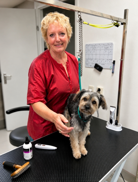 Professionele trimmer lacht warm naar een rustige, blije hond in een spa-omgeving