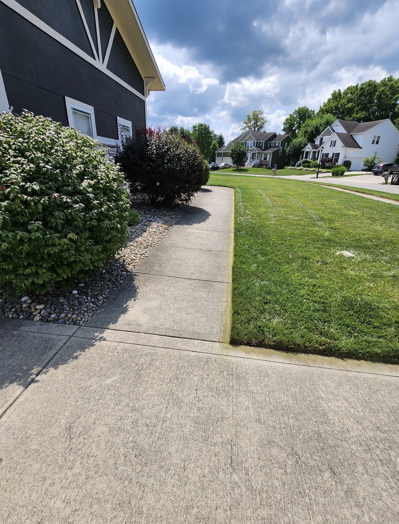 Front Walkway Landscaping